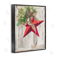 Patricia Pinto | Winter Red Star Barn Wood
