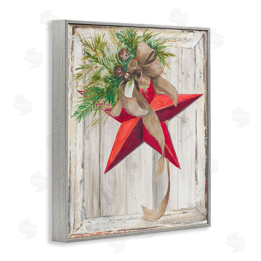 Patricia Pinto | Winter Red Star Barn Wood