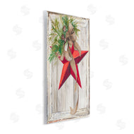Patricia Pinto | Winter Red Star Barn Wood