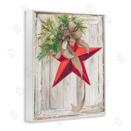 Patricia Pinto | Winter Red Star Barn Wood