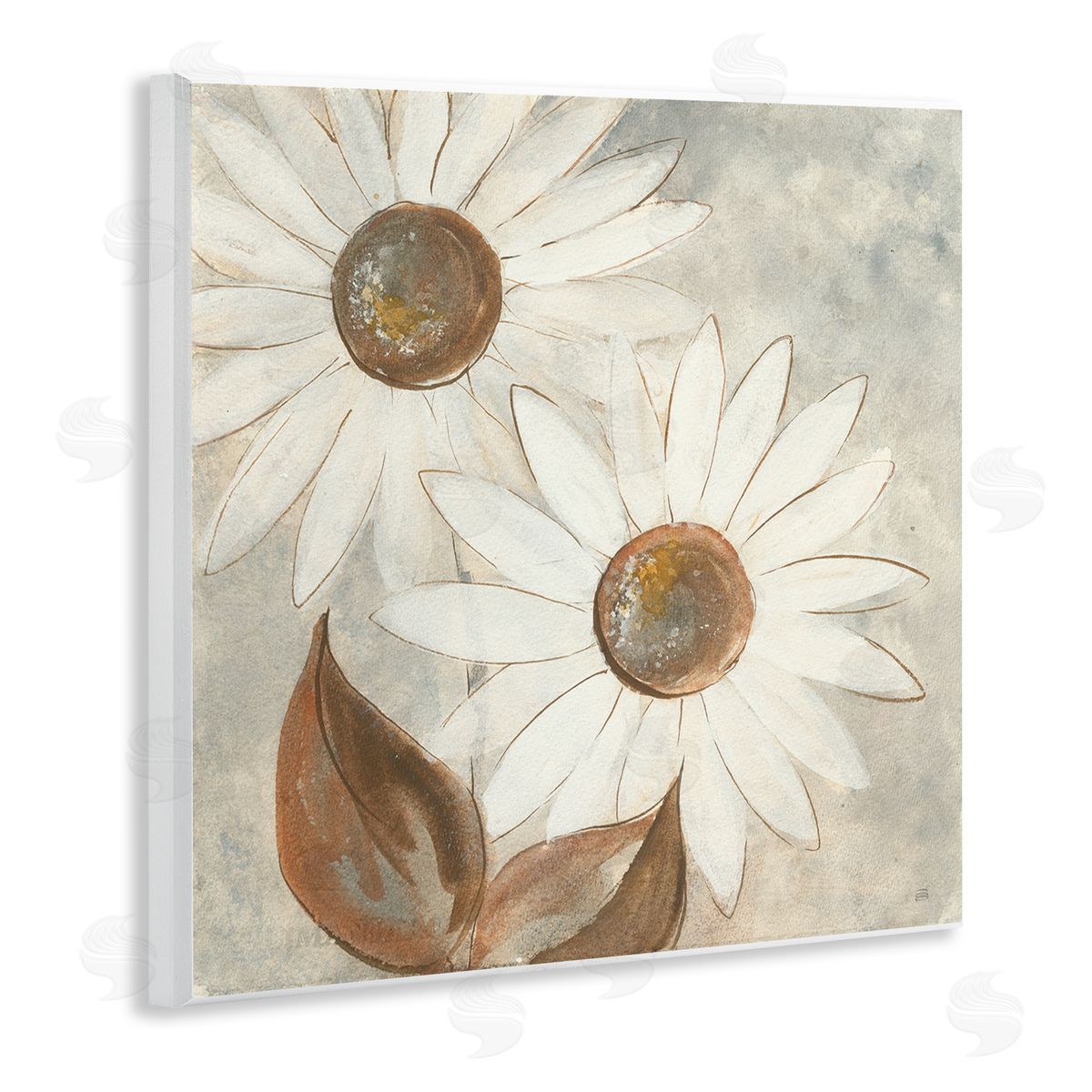 Chris Paschke White Neutral Daisy Florals Vintage Charm Wall Plaque Art