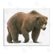 James Wiens | Wild Northern Bear Minimal Forest Animal