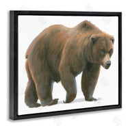 James Wiens | Wild Northern Bear Minimal Forest Animal