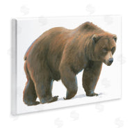 James Wiens | Wild Northern Bear Minimal Forest Animal