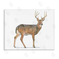 James Wiens | Wild Woodland Deer Minimal Rustic Antlers
