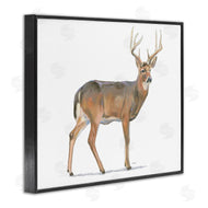 James Wiens | Wild Woodland Deer Minimal Rustic Antlers