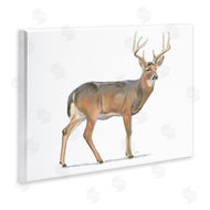 James Wiens | Wild Woodland Deer Minimal Rustic Antlers