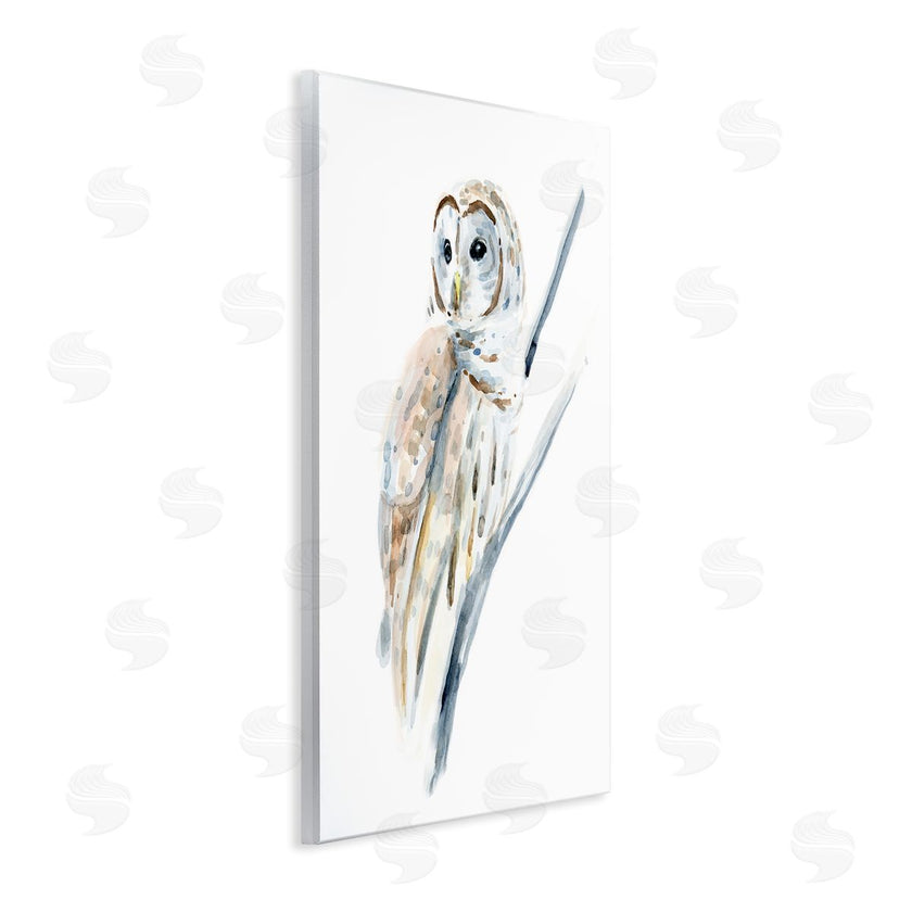 Annie Warren | Soft Arctic Owl Perched on Minimal Branch