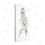 Annie Warren | Winter Artic Owl Portrait Perched on Tree Branch