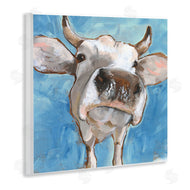 Jennifer Paxton Parker | Close Up White Cattle Farm Animal Portrait