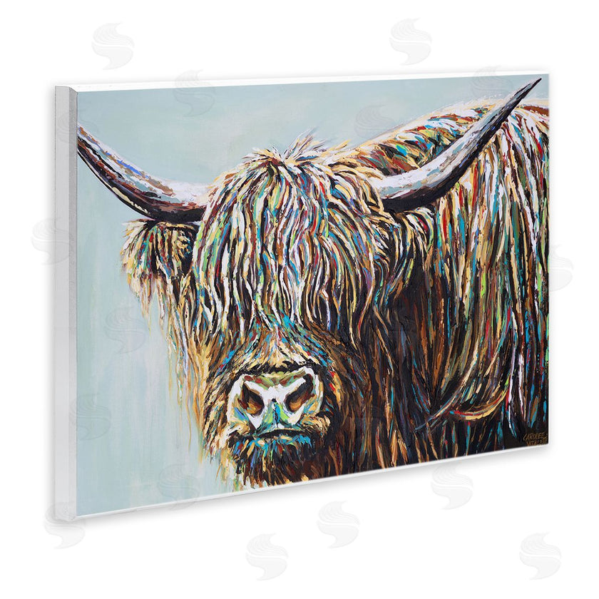 Carolee Vitaletti | Whimsical Rainbow Hair Woolly Highland Cattle Portrait