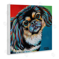 Carolee Vitaletti | Spaniel Dog Portrait Chroma Pop Red Yellow Green