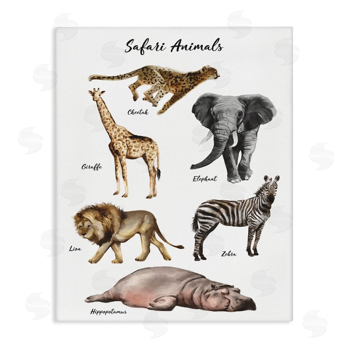 Ziwei Li Safari Animal Chart Playful Watercolor Illustrations Canvas Wall Art