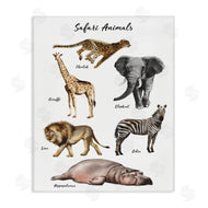 Ziwei Li | Safari Animal Chart Playful Watercolor Illustrations