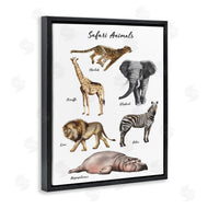 Ziwei Li | Safari Animal Chart Playful Watercolor Illustrations