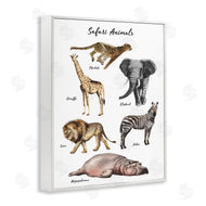 Ziwei Li | Safari Animal Chart Playful Watercolor Illustrations
