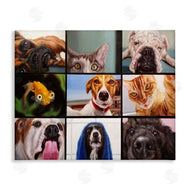 Lucia Heffernan | Animal Video Chat Meeting Office Pet Humor