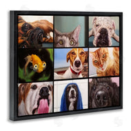 Lucia Heffernan | Animal Video Chat Meeting Office Pet Humor