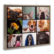 Lucia Heffernan | Animal Video Chat Meeting Office Pet Humor