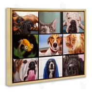 Lucia Heffernan | Animal Video Chat Meeting Office Pet Humor