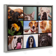 Lucia Heffernan | Animal Video Chat Meeting Office Pet Humor