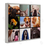 Lucia Heffernan | Animal Video Chat Meeting Office Pet Humor
