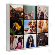 Lucia Heffernan | Animal Video Chat Meeting Office Pet Humor