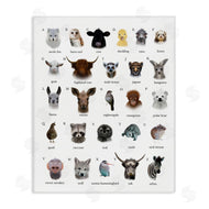 Leah Straatsma | Alphabet Chart of Wild Animals over White
