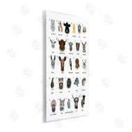 Leah Straatsma | Alphabet Chart of Wild Animals over White