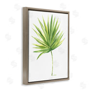 Melissa Hyatt | Tropical Green Palm Fan Minimal on White