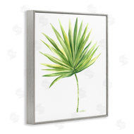 Melissa Hyatt | Tropical Green Palm Fan Minimal on White
