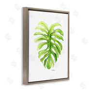 Melissa Hyatt | Monstera Leaf Tropical Plant Over White