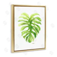 Melissa Hyatt | Monstera Leaf Tropical Plant Over White