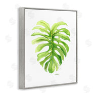 Melissa Hyatt | Monstera Leaf Tropical Plant Over White