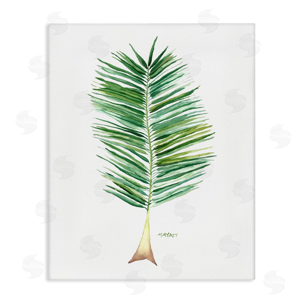 Melissa Hyatt Coconut Palm Fan Greenery Over White Canvas Wall Art