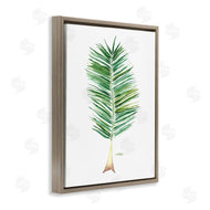 Melissa Hyatt | Coconut Palm Fan Greenery Over White
