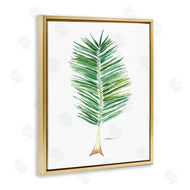 Melissa Hyatt | Coconut Palm Fan Greenery Over White