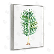 Melissa Hyatt | Coconut Palm Fan Greenery Over White