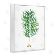 Melissa Hyatt | Coconut Palm Fan Greenery Over White
