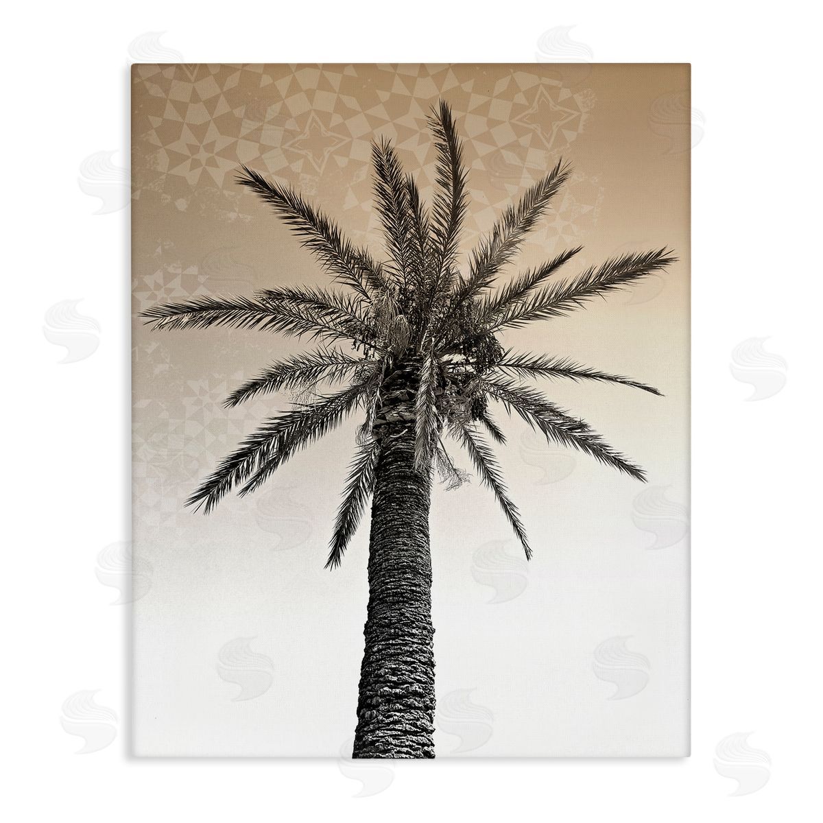 Stupell Studio Palm Tree Tropics Beige Geometric Pattern Sky Canvas Wall Art