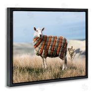 Ziwei Li | Sweater Weather Sheep Animal Farm Plaid