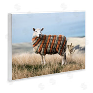 Ziwei Li | Sweater Weather Sheep Animal Farm Plaid