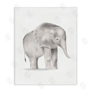 Stupell Studio | Standing Baby Elephant Soft Grey Illustration