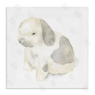 Stupell Studio | Adorable Baby Bunny Soft Grey Beige Illustration
