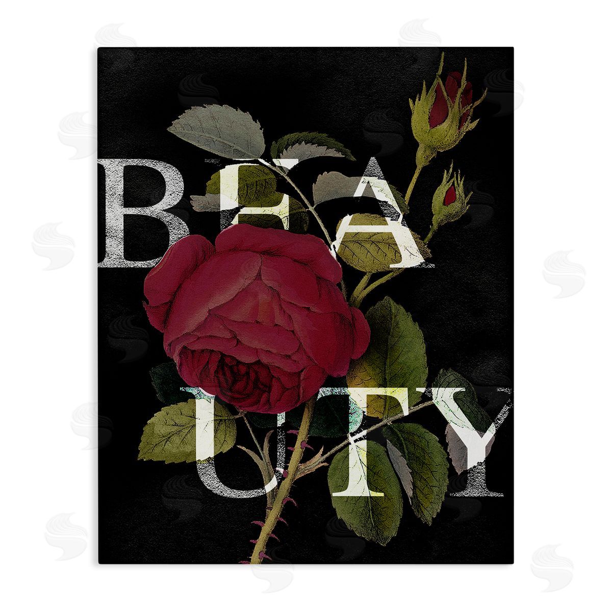 Stupell Studio Beauty Text over Vintage Red Thorned Rose Canvas Wall Art