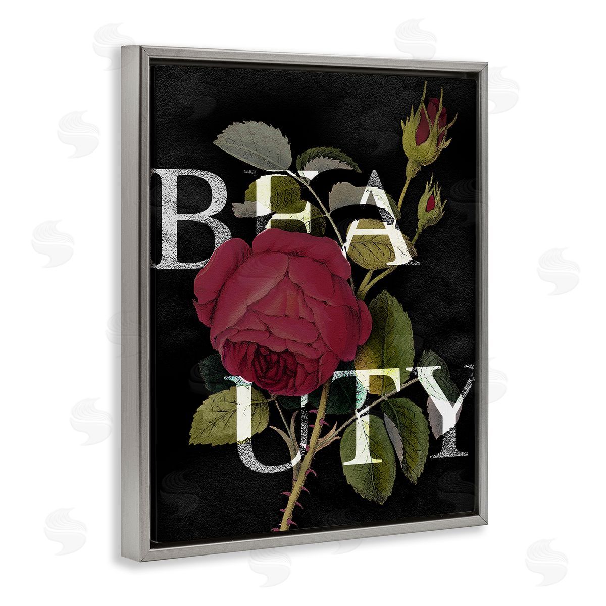 Stupell Studio Beauty Text over Vintage Red Thorned Rose Gray Floater Frame Canvas Art