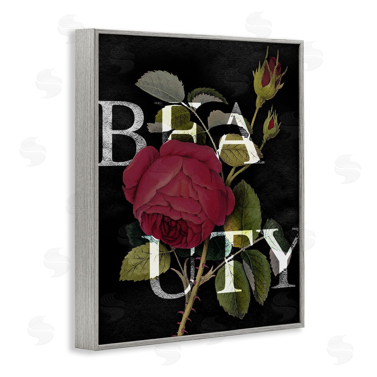 Stupell Studio Beauty Text over Vintage Red Thorned Rose Gray Framed Giclee Wall Art
