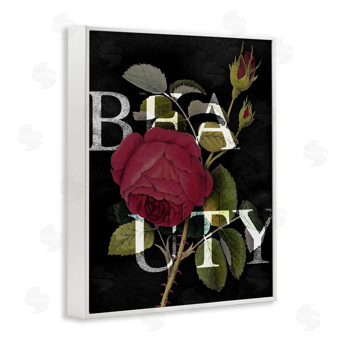 Stupell Studio Beauty Text over Vintage Red Thorned Rose White Framed Giclee Wall Art