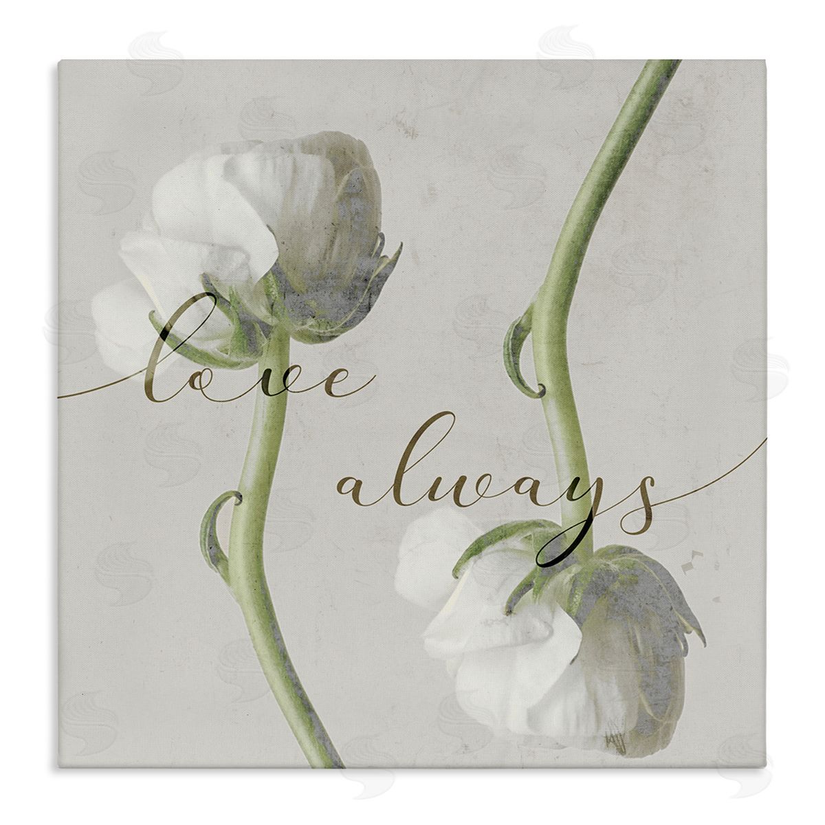 Stupell Studio Love Always Phrase Asymmetrical Floral White Roses Canvas Wall Art