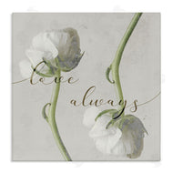 Stupell Studio | Love Always Phrase Asymmetrical Floral White Roses